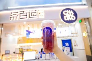 问鼎娱乐下载加盟费用包括哪些？